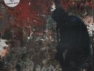Slayer - The Montreux Shroud - Colored Vinyl - Swingin Pig