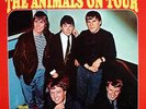 60s&more LP 11 - THE ANIMALS - THE ANIMALS ON TOUR - MGM Rec. US 1964 - EX