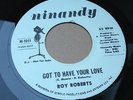 Roy Roberts - Got To Have your Love / Legend Of Otis Redding - Ninandy  (listen)