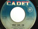 NORTHERN 45-GEORGE KIRBY-WHAT CAN I DO /GOOD NIGHT IRENE