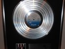 Blondie Parallel Lines  platin Schallplatte goldene