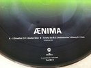 Tool Promo Vinyl Record - Aenima Picture Disc
