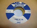 HEAR Rare Doo Wop Memphis 45 JIMMY AND THE SPARTANS You're My Girl on Satellite