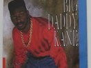 BIG DADDY KANE Ain't No Half Steppin'/ Get Into It 7
