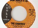 NORTHERN SOUL THE ESQUIRES HOW COULD IT BE / I KNOW I CAN BUNKY CHICAGO 45 hear