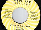 PALEMINA Living On Sky Juice PIN UP 7