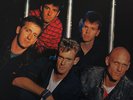 Midnight Oil - Dreamworld DLP SWINGIN PIG