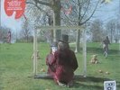 SYD BARRETT (PINK FLOYD) - An Introduction To - (2011 RSD Ltd Ed 2-LP Set) - NEW