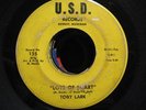 TOBY LARK RARE DETROIT NORTHERN SOUL 45 ON USD 135 LISTEN TO IT