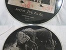 THE CRAMPS surfin' the dark VINYL PICTURE DISC LIMITED EDITION LP oop punk rare