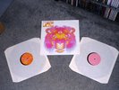 'BLACK CROWES - Lions'  2LP Vinyl Gatefold NEAR MINT