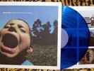 Have Heart Songs To Scream At The Sun LP Blue Vinyl SxE HxC 2008 Bridge Nine