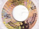 northern soul TIMOTHY WILSON loving you/pigtails BUDDAH 7