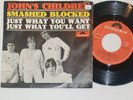JOHN'S CHILDREN -Smashed Blocked- 7