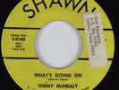 Funk Soul 45 TIMMY MCNEALY What's Going On SHAWN Rare HEAR