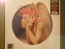 GRATEFUL DEAD Dark Star: Europe '72 Olympia Theatre Par