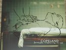 COPELAND BENEATH MEDICINE TREE VINYL LP RECORD NEW
