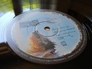 ******PINK FLOYD - ANIMALS  UK  SUPERB NM VINYL AND UNWORN SLEEVE******