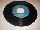 JAHMIKMUSIK/THE LAST DAYS - FRED LOCKS [ROOTS REGGAE]