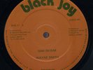 Wayne Smith - Ism-Skism / Yellowman - Rosemarie UK orig 12