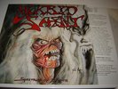 Morbid Saint - Spectrum Of Death LP old school