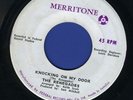 2012  RENEGADES-KNOCKING ON MY DOOR-TOO YOUNG-MERRITONE REGGAE 45 7