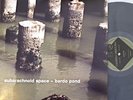 Bardo Pond Subarachnoid Space LP rare heavy psych space fuzz stoner acid rock
