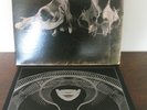 TMR Vault Package #2 Raconteurs Live in London LP/Dead Weather Print Jack White