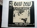 The Gow-Dow Experience