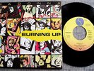 Madonna 'Burning Up' Very Rare Scandinavian 7