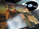 Pink Floyd            - Animals -  MINT     AUS ARCHIV