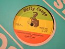 SONS OF JAH - BREAKING DOWN THE BARRIERS - NATTY CONGO 12