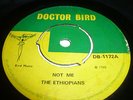ETHIOPIANS NOT ME / CUT DOWN RARE ROCKSTEADY DOCTOR BIRD LISTEN