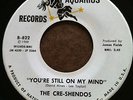 Northern/Sweet Soul 45 The Cre-Shendos on AQUARIUS Bay Area 1968 EX Listen
