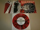 MELVINS/JSBX-BLACK BETTY SPLIT 7