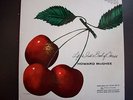 Howard McGHEE Life is just a bowl of cherries  Bethlehem BCP 61