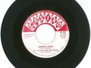 RARE 45 RPM, Lee Andrews, Casino Records # 452, Nobody's Home/Try The Impossible