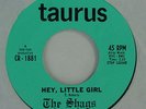 THE SHAGS Hey, Little Girl 45 Taurus 1881 1966 VG++ RARE Garage Psyc
