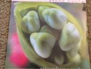 Fiona Apple-Extrodinary Machine Promo Sealed, Norah Jones, Bjork,