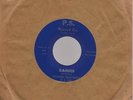 Dynamic Heartbeats - Danger / It Aint No Secret - P.S.Records