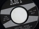 RARE Doo-Wop-The Star Steppers on Amy 801-You're Gone/1st Sign of Love -- LISTEN