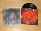 Celestial Bloodshed LP, Black Metal, Mare, Black Majesty, Burzum, Dodsengel, RAR