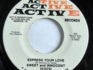 DEEP SOUL - SWEET and INNOCENT Express Your Love ACTIVE RECORDS 45
