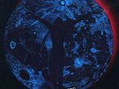 Cold Sun-Dark Shadows-Texas psychedelic garage-LP+10