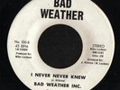 SOUL 45 BAD WEATHER INC. I NEVER NEVER KNEW BAD WEATHER VG+ HEAR