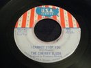 THE CHERRY SLUSH i cannot stop you USA rare GARAGE CHICAGO orig LISTEN