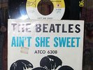 Beatles Ain't She Sweet Classic Rock Garage 45 Scarce Picture Sleeve US