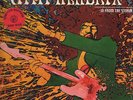 2 LP´s - Jimi Hendrix - In From The Storm - TMOQ - Ltd. Edt. - Swingin Pig