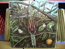 DRAGONFLY S/T VG+ MegaPhone PSYCH LP Crazy Woman TROMBODO Time Has Slipped Away