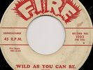 RARE Mary Ann Fisher NORTHERN SOUL 45 Wild As You Can Be FIRE 1002 LISTEN